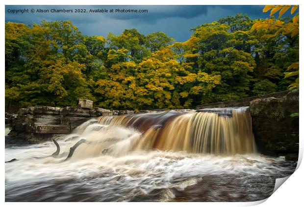 Autumn Colour at Richmond Falls Print by Alison Chambers