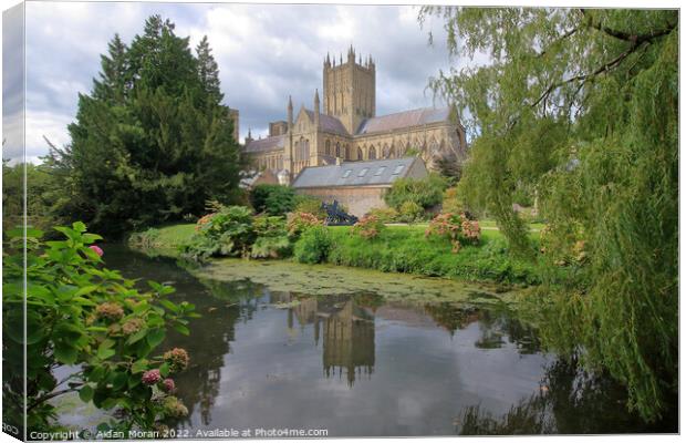  Wells Cathedral from the Bishops Palace   Canvas Print by Aidan Moran