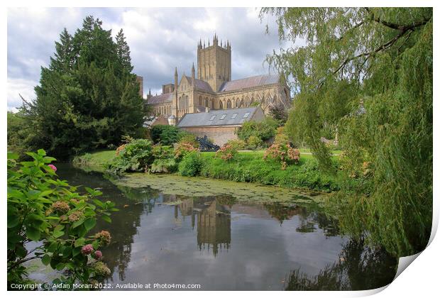  Wells Cathedral from the Bishops Palace   Print by Aidan Moran