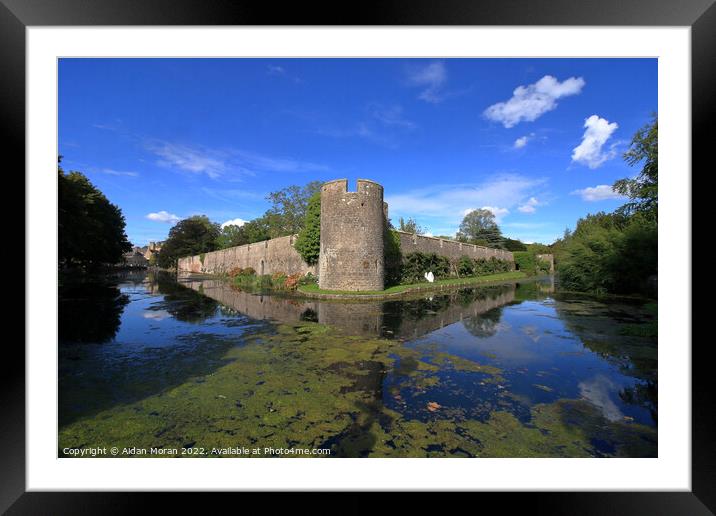 Thae Bishops Palace and Mote  Framed Mounted Print by Aidan Moran