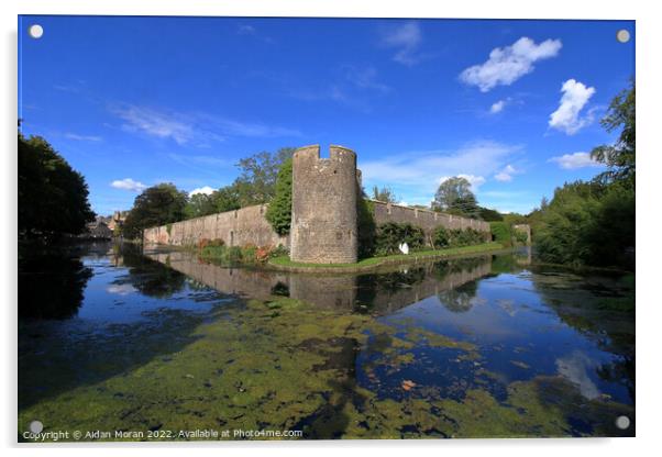 Thae Bishops Palace and Mote  Acrylic by Aidan Moran