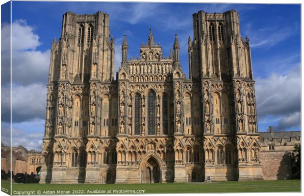 Wells Cathedral, Somerset  Canvas Print by Aidan Moran
