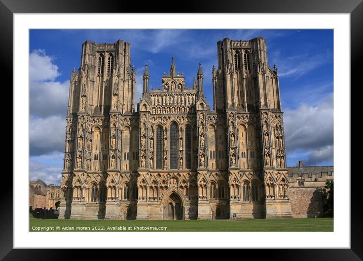 Wells Cathedral, Somerset  Framed Mounted Print by Aidan Moran
