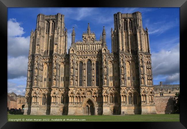 Wells Cathedral, Somerset  Framed Print by Aidan Moran