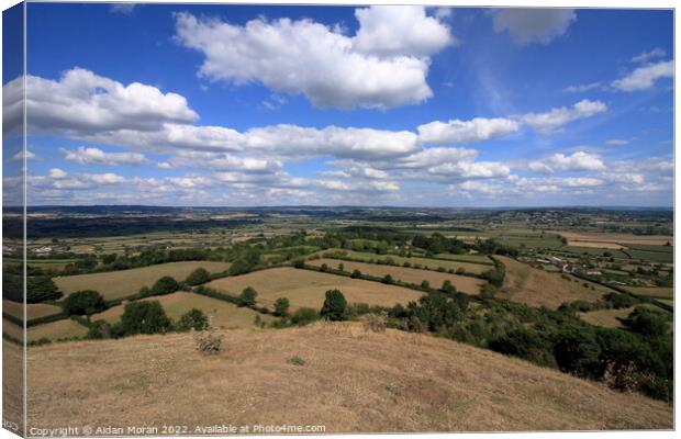 View over the Somerset Levels  Canvas Print by Aidan Moran