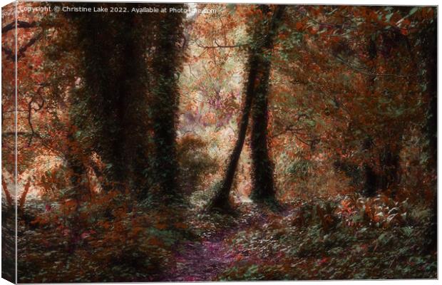A Path To Autumn Canvas Print by Christine Lake