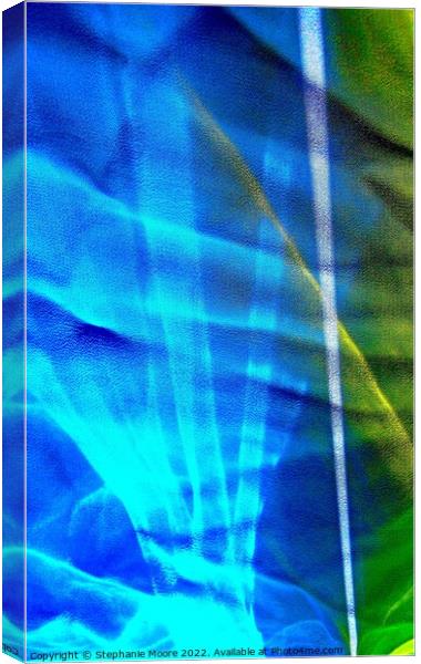 Abstract 453 Canvas Print by Stephanie Moore