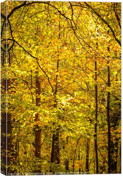 Autumnal Leaves Canvas Print by Simon Johnson