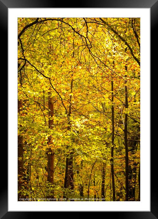 Autumnal Leaves Framed Mounted Print by Simon Johnson