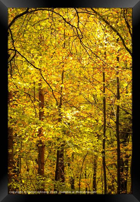 Autumnal Leaves Framed Print by Simon Johnson