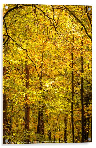 Autumnal Leaves Acrylic by Simon Johnson