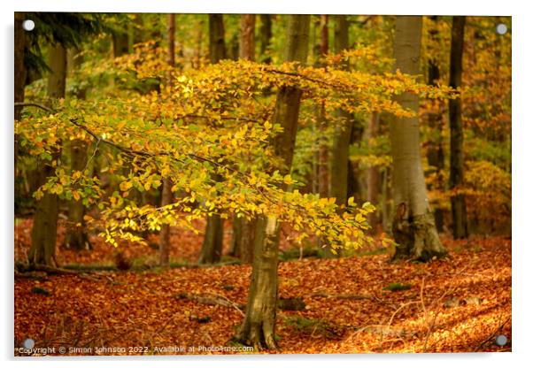 sunlit autumn leaves  Acrylic by Simon Johnson