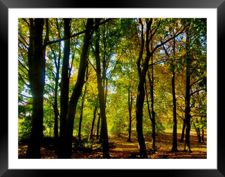 Autumn lane Framed Mounted Print by Stephanie Moore