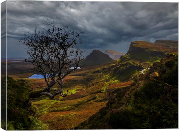 The Quiraing, Isle Of Skye.  Canvas Print by Tommy Dickson