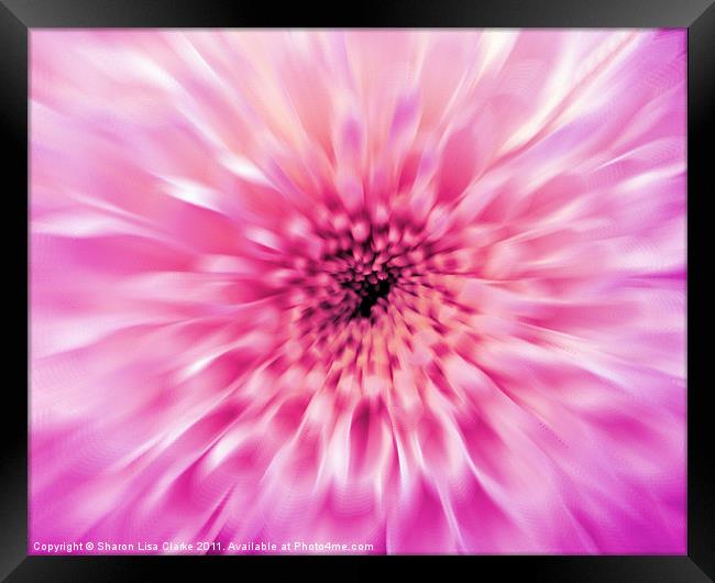 Blurred Beauty Framed Print by Sharon Lisa Clarke