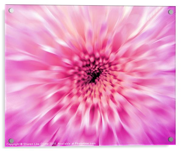 Blurred Beauty Acrylic by Sharon Lisa Clarke
