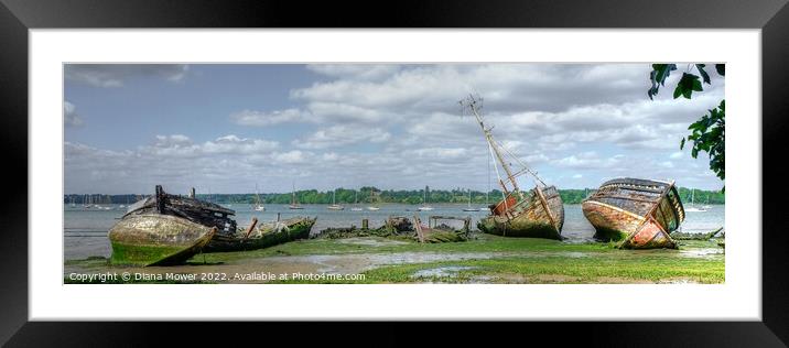 River Orwell Wrecks Panoramic Framed Mounted Print by Diana Mower