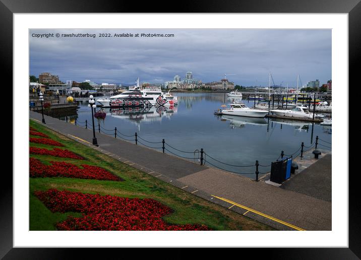Victoria Harbour Canada Framed Mounted Print by rawshutterbug 