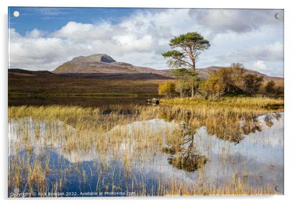 Loch Awe, Assynt Acrylic by Rick Bowden