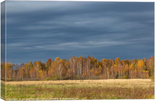 Fields and forests in cloudy, autumn weather. Late fall. Europe. Canvas Print by Sergey Fedoskin