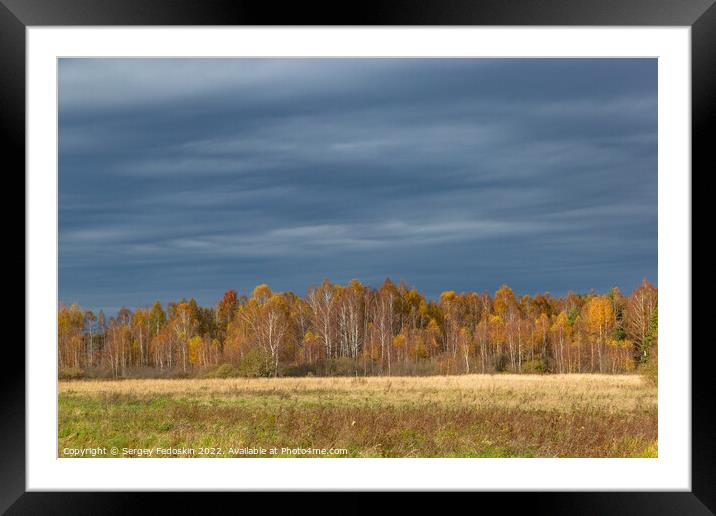 Fields and forests in cloudy, autumn weather. Late fall. Europe. Framed Mounted Print by Sergey Fedoskin