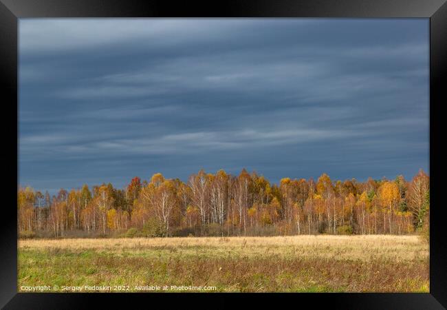 Fields and forests in cloudy, autumn weather. Late fall. Europe. Framed Print by Sergey Fedoskin