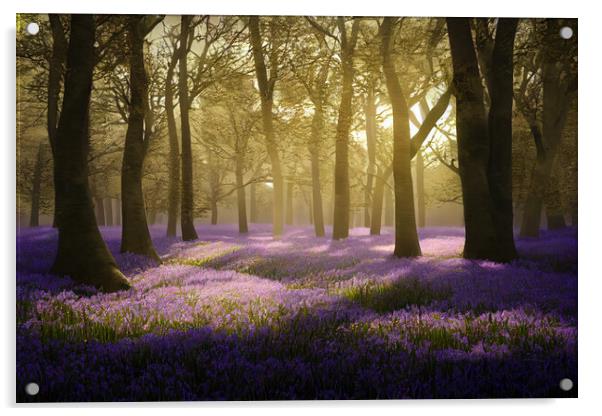 Bluebells In The Woods Acrylic by Picture Wizard