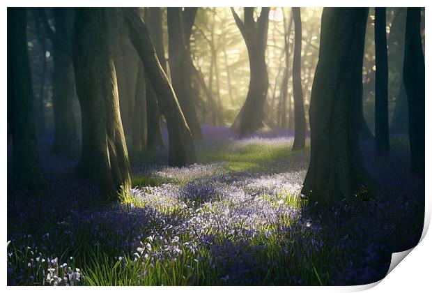 Bluebells Print by Picture Wizard
