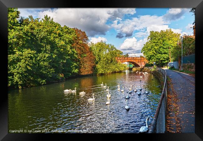 Autumn at Kennetside in Reading Framed Print by Ian Lewis
