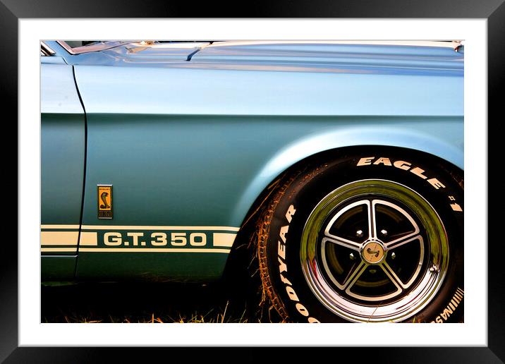 Ford Mustang Shelby GT 350 Framed Mounted Print by Andy Evans Photos