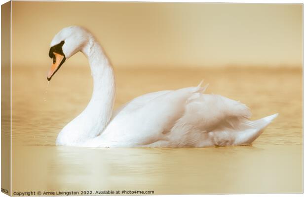 Majestic Swan Gliding on Water Canvas Print by Arnie Livingston