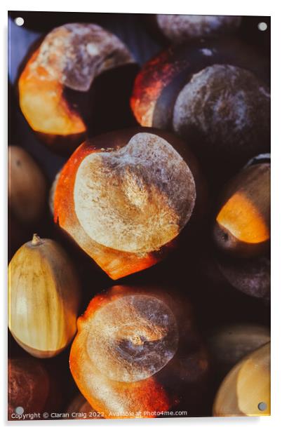 Bunch of chestnuts  Acrylic by Ciaran Craig