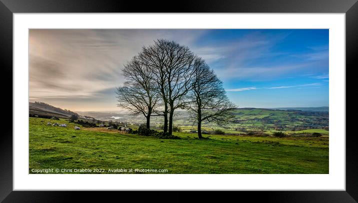 Winter trees at the Roaches Framed Mounted Print by Chris Drabble