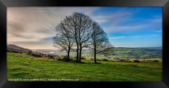 Winter trees at the Roaches Framed Print by Chris Drabble