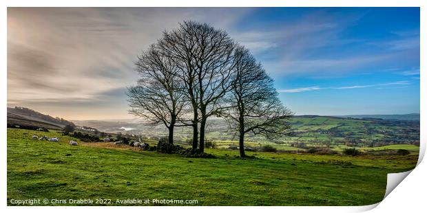 Winter trees at the Roaches Print by Chris Drabble