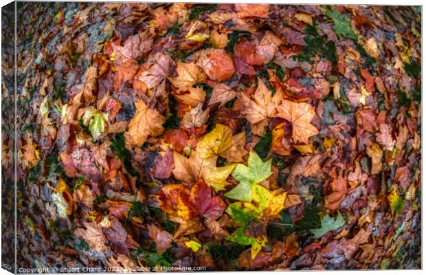 Autumn Leaves Canvas Print by Travel and Pixels 