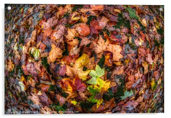 Autumn Leaves Acrylic by Travel and Pixels 