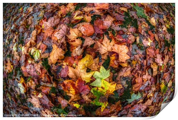 Autumn Leaves Print by Travel and Pixels 