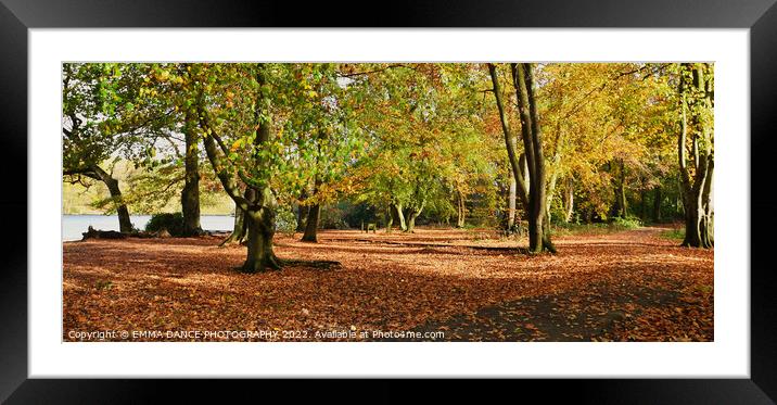 Autumn Colours at Bolam Lake Country Park, Northum Framed Mounted Print by EMMA DANCE PHOTOGRAPHY