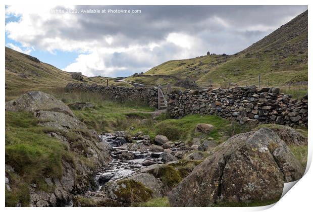 Small stream on Kirston Pass Print by Kevin White