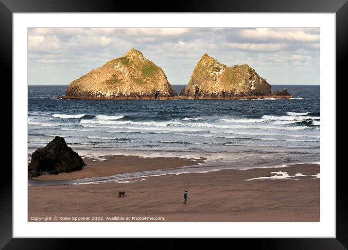 Gull Rocks Holywell Beach Framed Mounted Print by Rosie Spooner