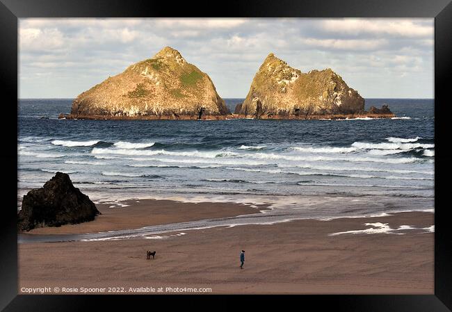 Gull Rocks Holywell Beach Framed Print by Rosie Spooner