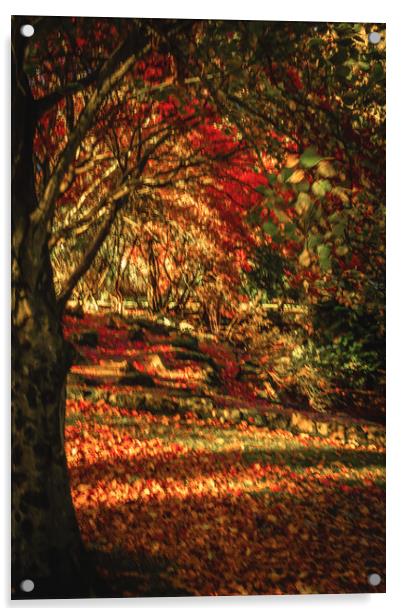 Captivating Autumn Reflections Acrylic by DAVID FRANCIS