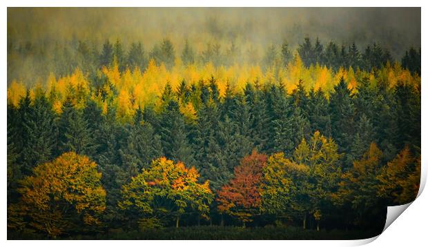 Enchanting Autumn Mist Print by DAVID FRANCIS