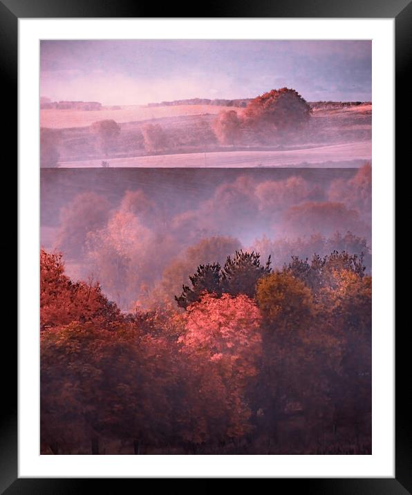Enchanting Autumn Mist Framed Mounted Print by DAVID FRANCIS