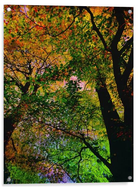 Autumn leaves  Acrylic by Rachael Smith