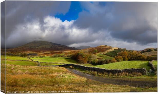 Path to the old man of Coniston 828  Canvas Print by PHILIP CHALK
