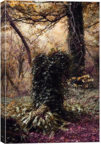 Forest Magic Canvas Print by Christine Lake