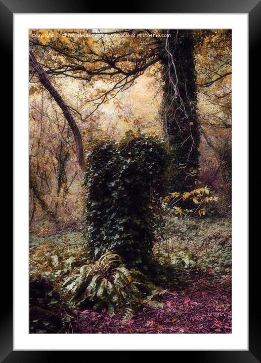 Forest Magic Framed Mounted Print by Christine Lake