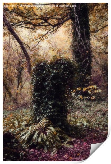 Forest Magic Print by Christine Lake